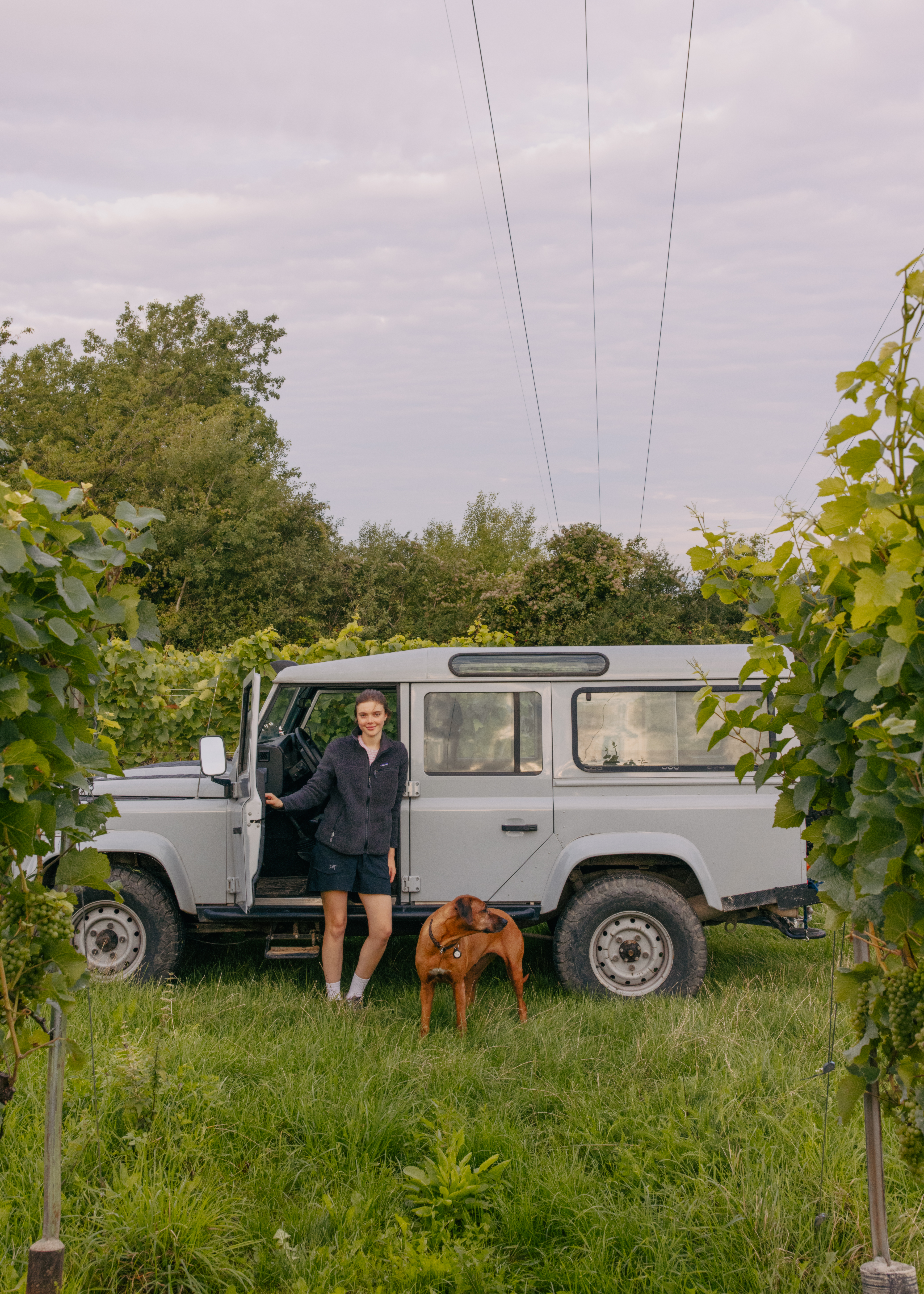Weingut Seeger