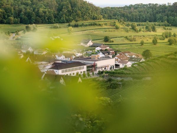 HENRIS | Winzergenossenschaft Achkarren, Vogtsburg im Kaiserstuhl